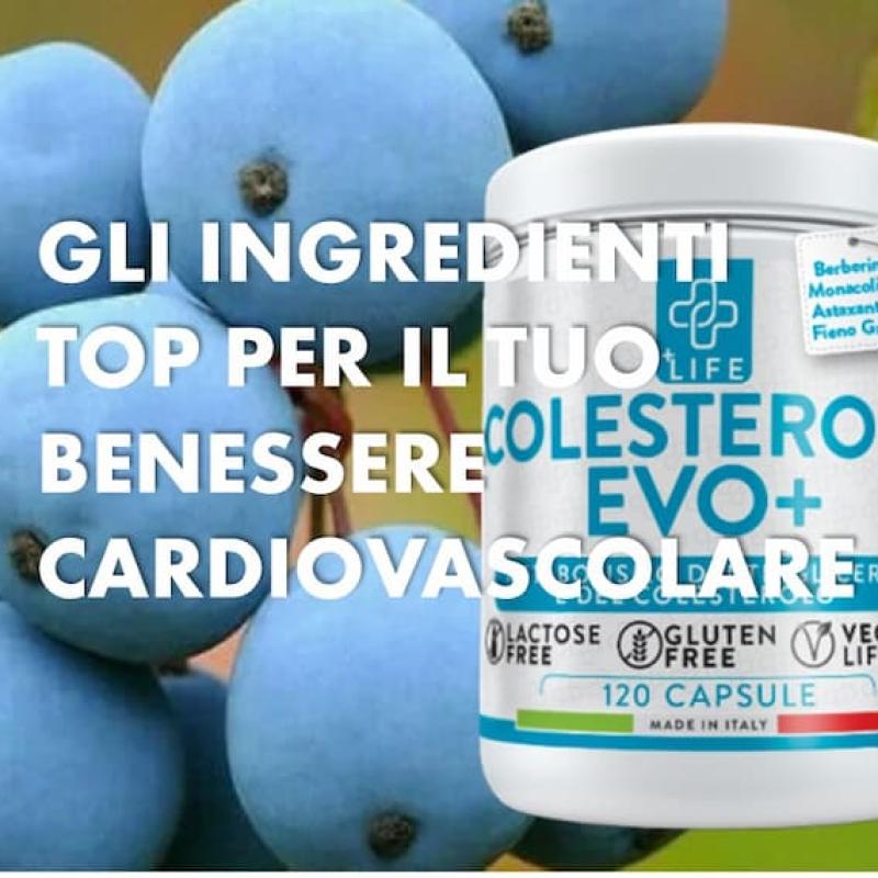 Berberina: Il Segreto Naturale per Metabolismo, Colesterolo e Benessere