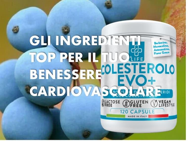 Berberina: Il Segreto Naturale per Metabolismo, Colesterolo e Benessere