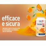 Curcuma Forte BCM-95 60 cps Longlife