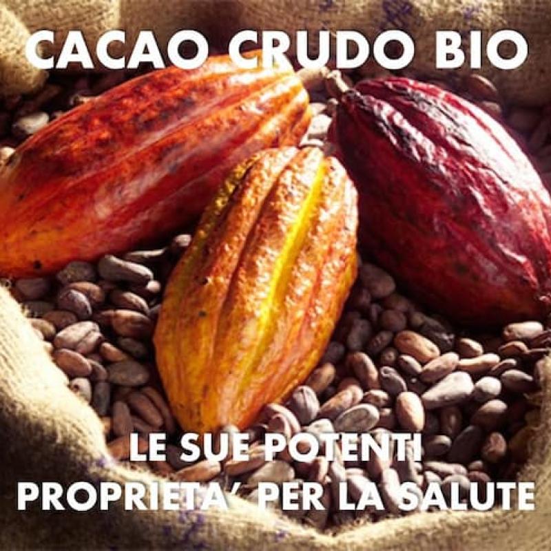 Cacao Criollo: Il Superfood Antiossidante per il Benessere del Corpo e della Mente