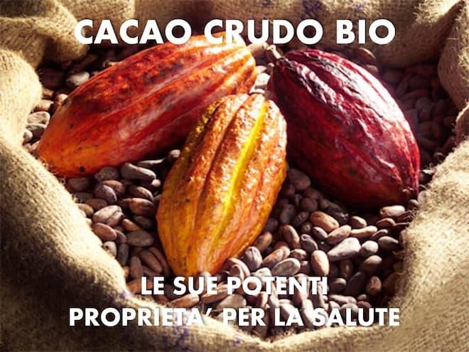 Cacao Criollo: Il Superfood Antiossidante per il Benessere del Corpo e della Mente