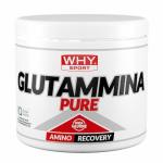 Glutammina Pure 250g Why Sport