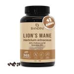 Lions Mane 365 cpr Bandini