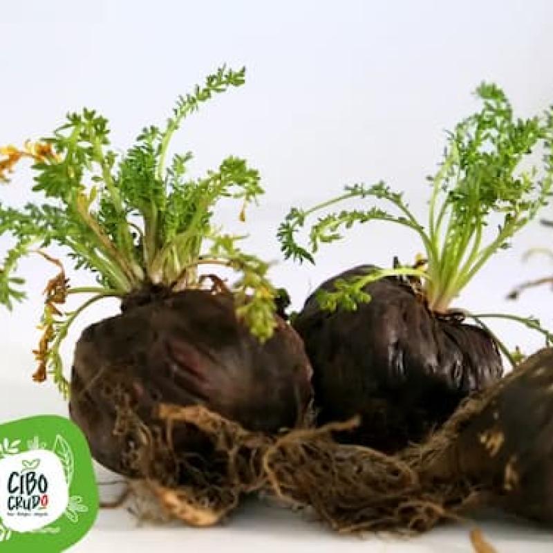 Maca Nera Cruda Bio 150g CiboCrudo