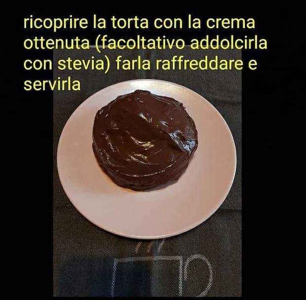 sacher proteica7